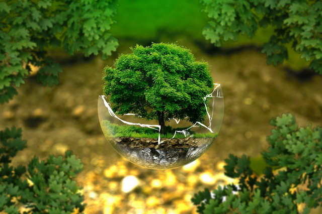 Our Enterprise Responsibility